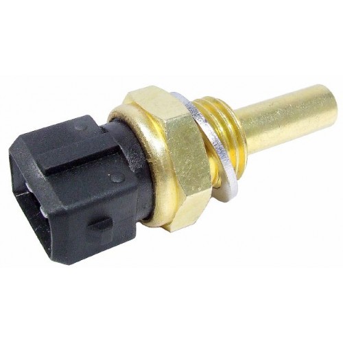 Exterior Temperature Sensor Delphi TS10257