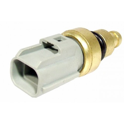 Exterior Temperature Sensor Delphi TS10262