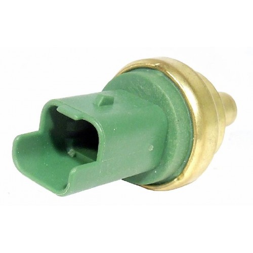 Exterior Temperature Sensor Delphi TS10277