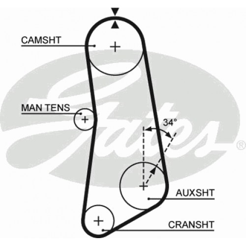 Timing Belt  Gates 5089