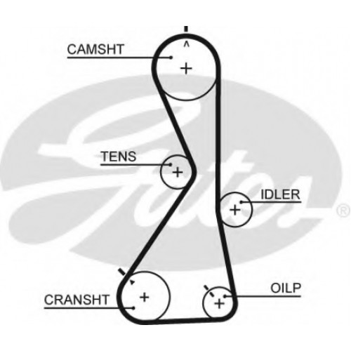 Timing Belt  Gates 5481XS