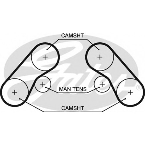 Timing Belt  Gates 5576XS